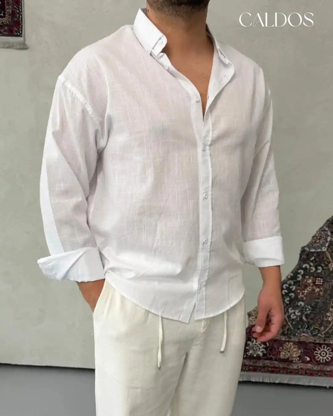 Chemise Basic en Lin 100%